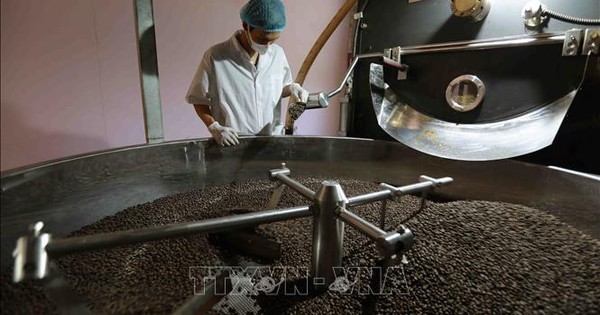 Coffee ‘looks forward’ to seasonal signals