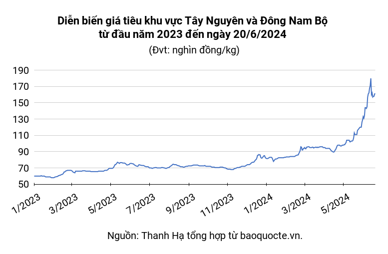 Pepper market on June 20, 2024: Price unchanged compared to yesterday