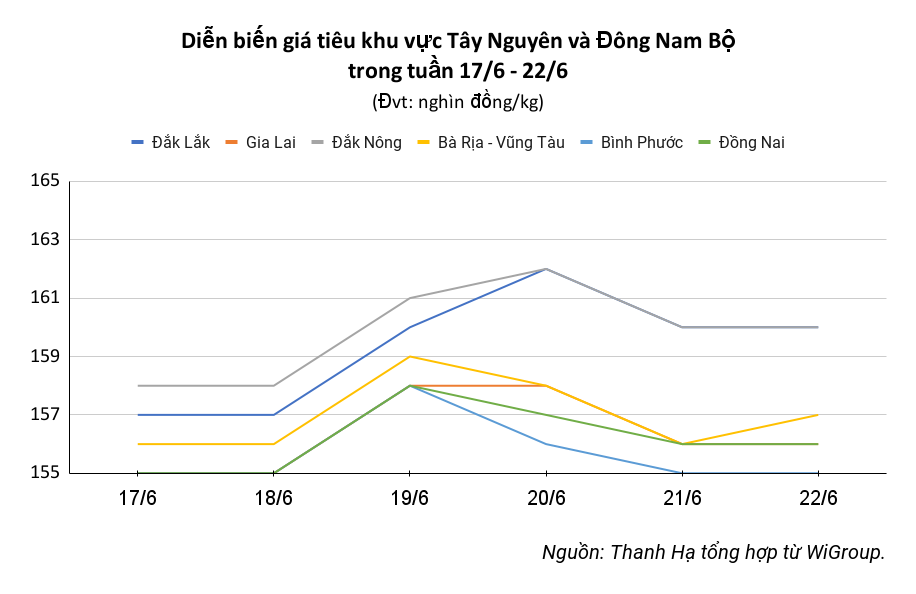 Pepper market on June 23, 2024, pepper prices last week increased by no more than 3,000 VND in localities