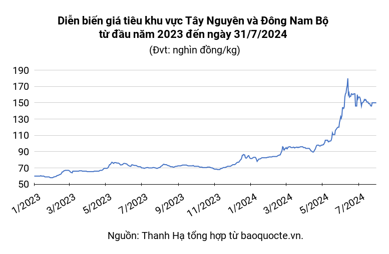 Pepper Market July 31, 2024, pepper price stagnated for 4 consecutive sessions