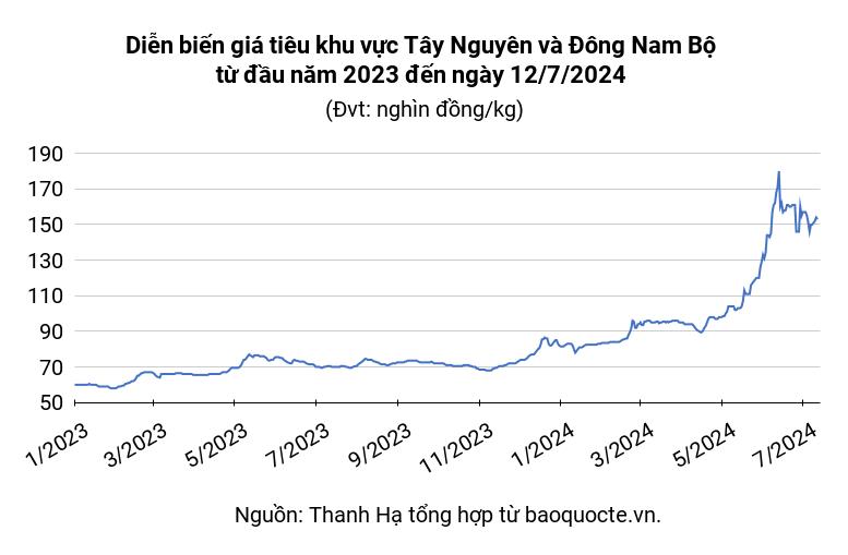 Pepper market on July 12, 2024 decreased to 152,000 VND/kg