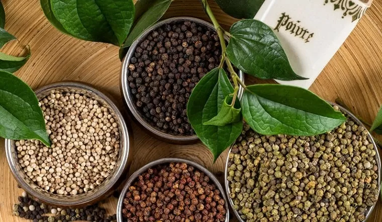 How much does Vietnam buy Brazilian pepper for?