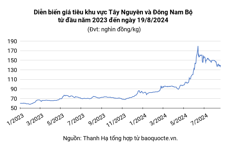 Pepper Market August 19, 2024, pepper price increased back to 140,000 VND/kg