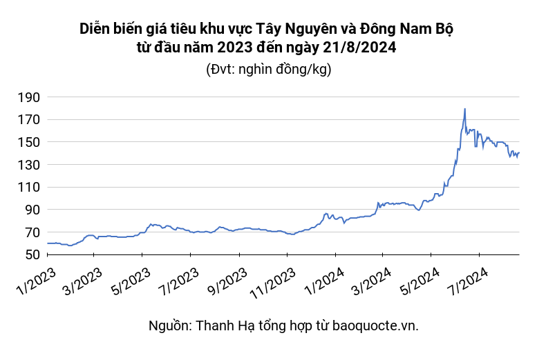 Pepper Market August 21, 2024, pepper price increased from 1,000-2,000 VND