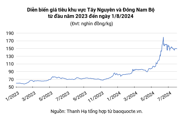 Pepper market on August 1, 2024, down 1,000 VND after a series of stagnant days