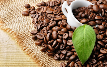 Coffee market summary for the week of November 25-29, 2024