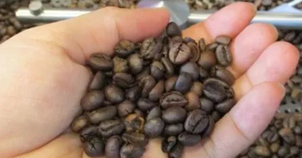 Coffee prices plummeted rapidly