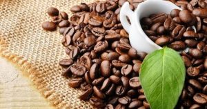 Coffee prices increased sharply before the Tet holiday