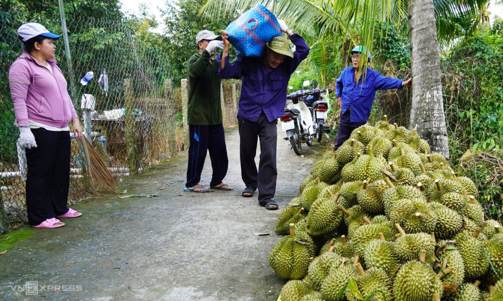 China increased its purchases of Vietnamese durian by half