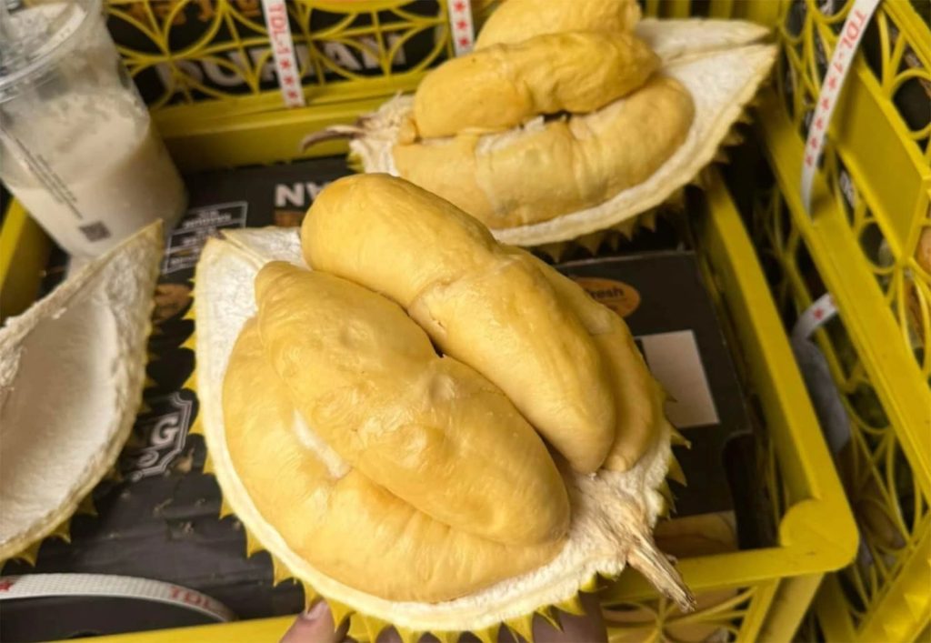 Premium durian cost only 40,000 VND/kg