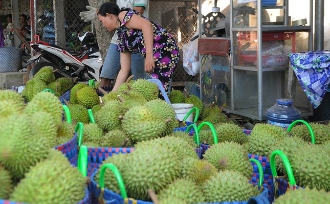 What do you see from the price of durian decreases too shock?